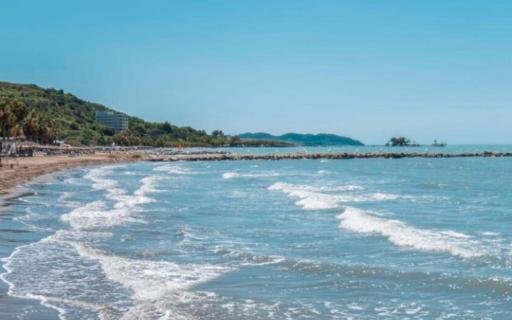 Shitet Toke ne Karpen