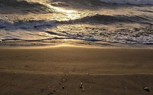 Shitet Tokë – Vija e 1 Bregdetare, Plazhi i Bardhë, Fursilluk